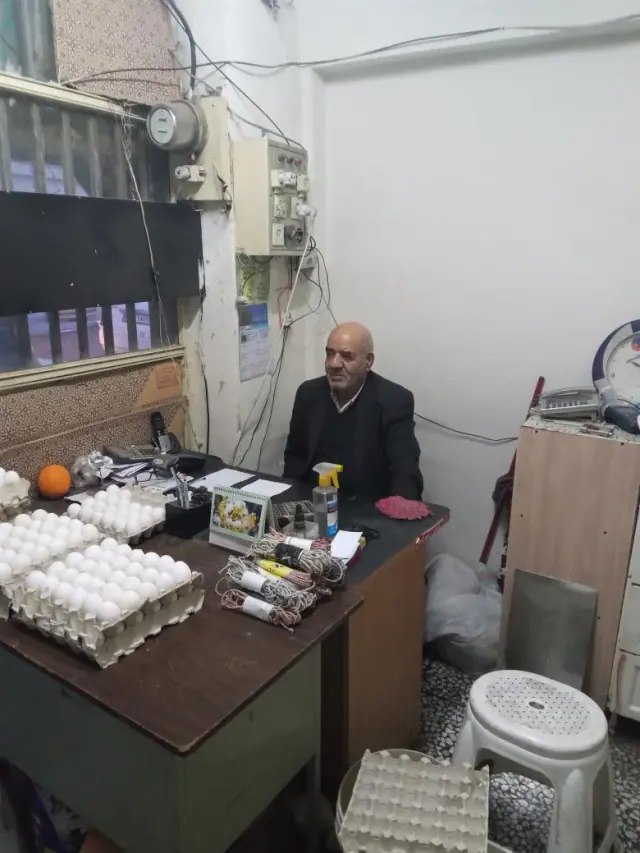 پخش تخم مرغ مهر