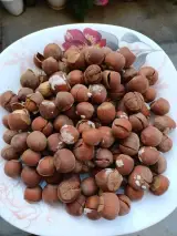 بانوی تاجر