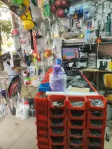 الکتریکی فردوس