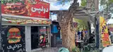 ساندویچ دولپی