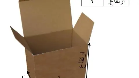 کارتن سازی الو جعبه