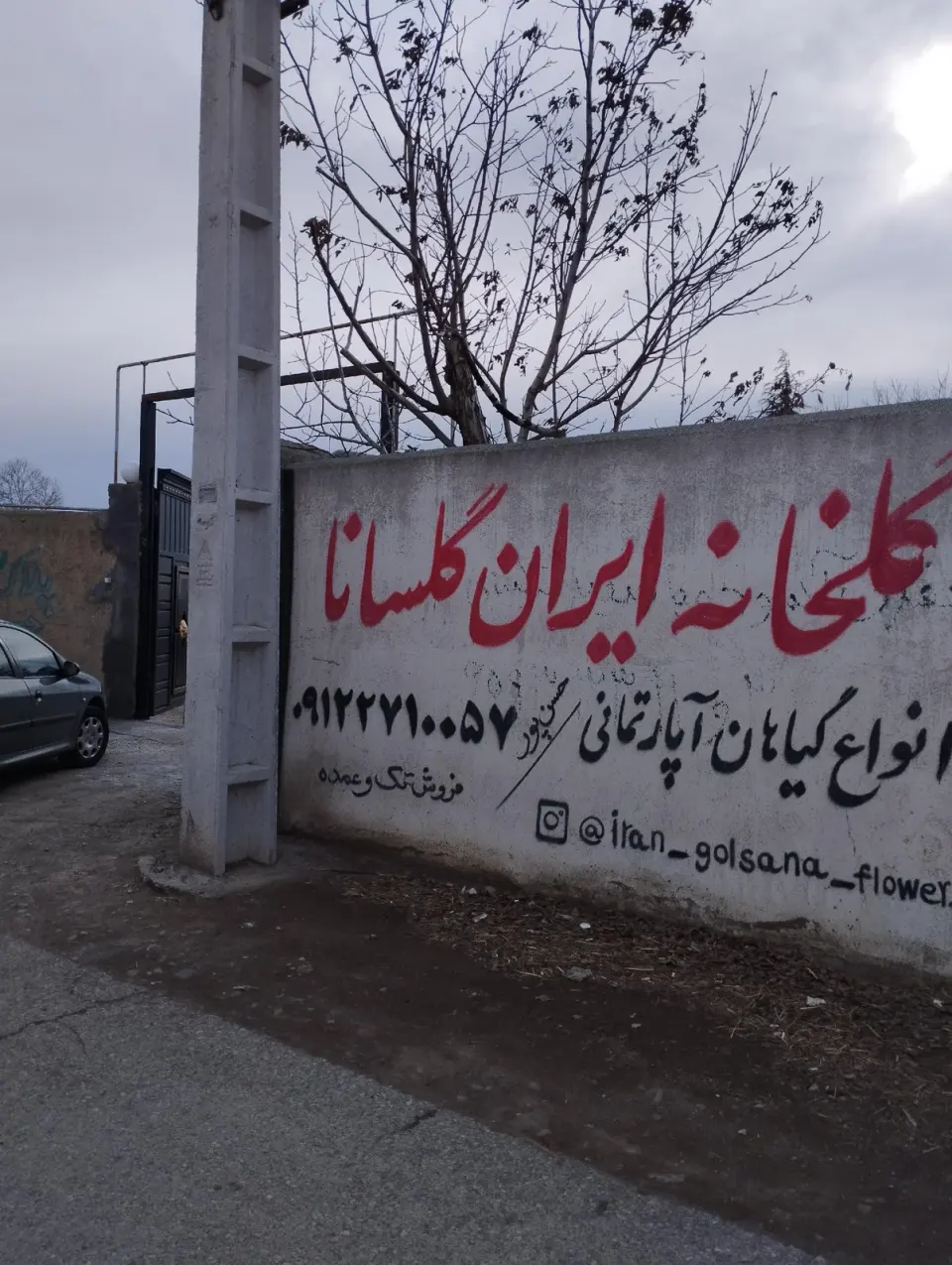 گلخانه ایران گلسانا