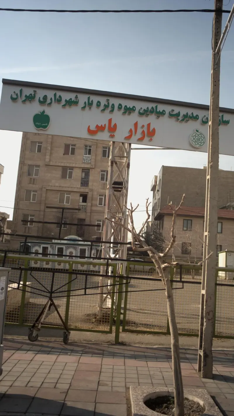 بازار میوه و تره بار یاس