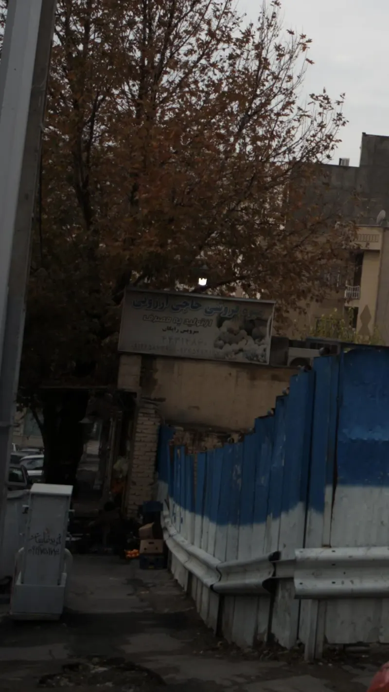 میوه فروشی حاجی ارزونی