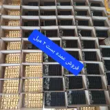 کارخانه رگال زنجانی