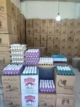 پخش تخم مرغ عمده و خرده (فرزاد)