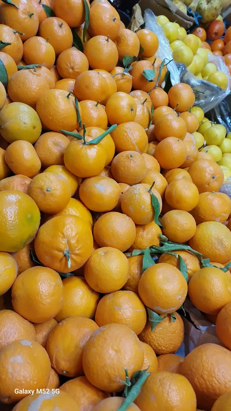میوه نبوت