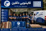 کارخانه قالیشویی دلفین
