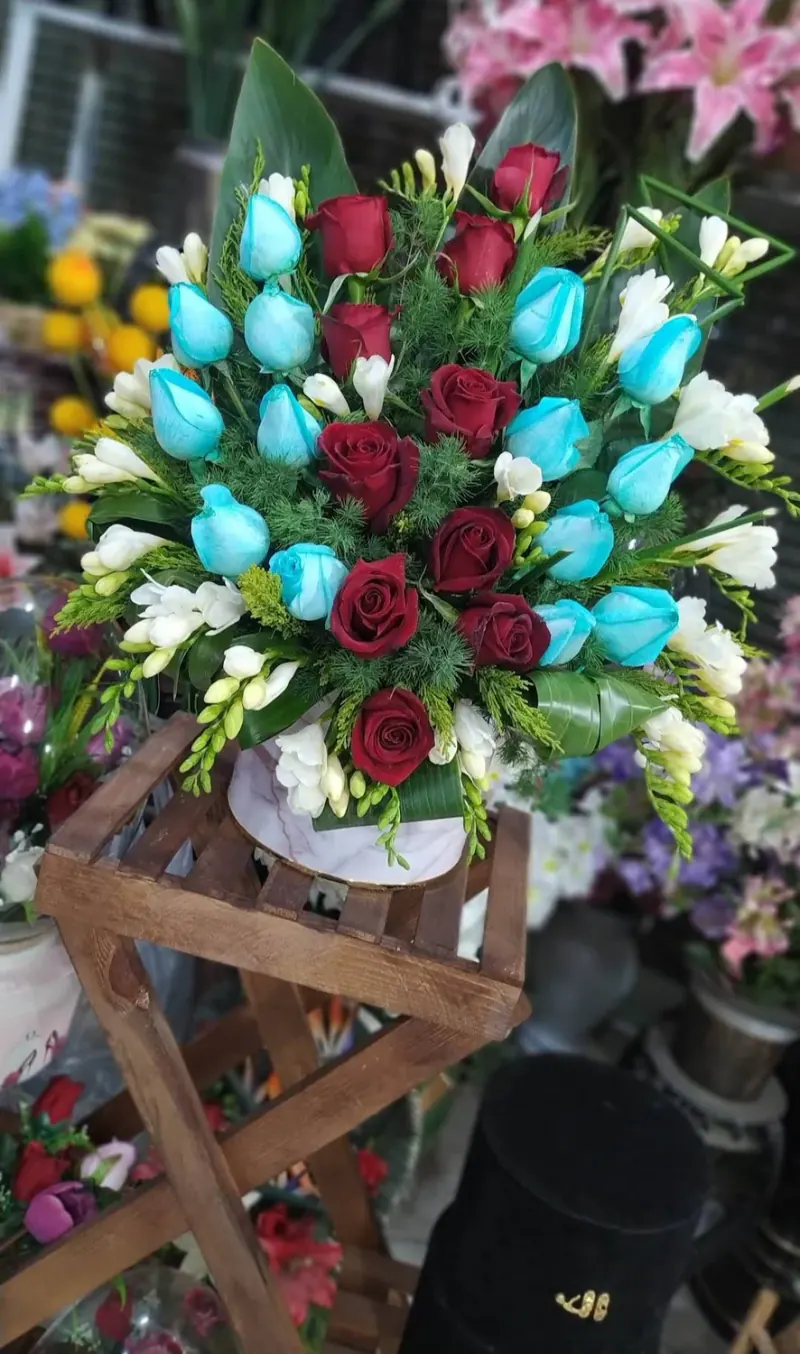 گلکده پارادایس