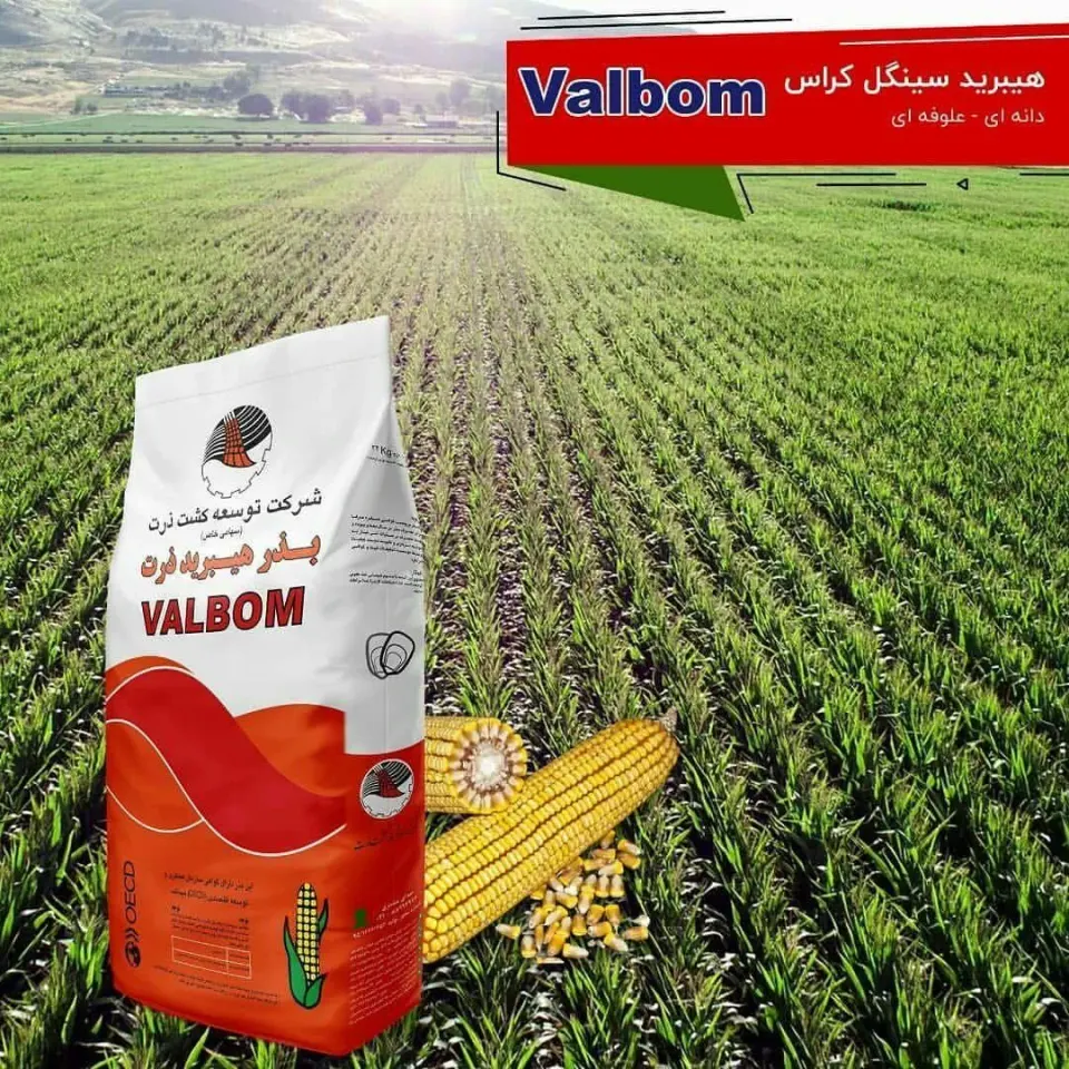 شرکت توسعه کشت ذرت