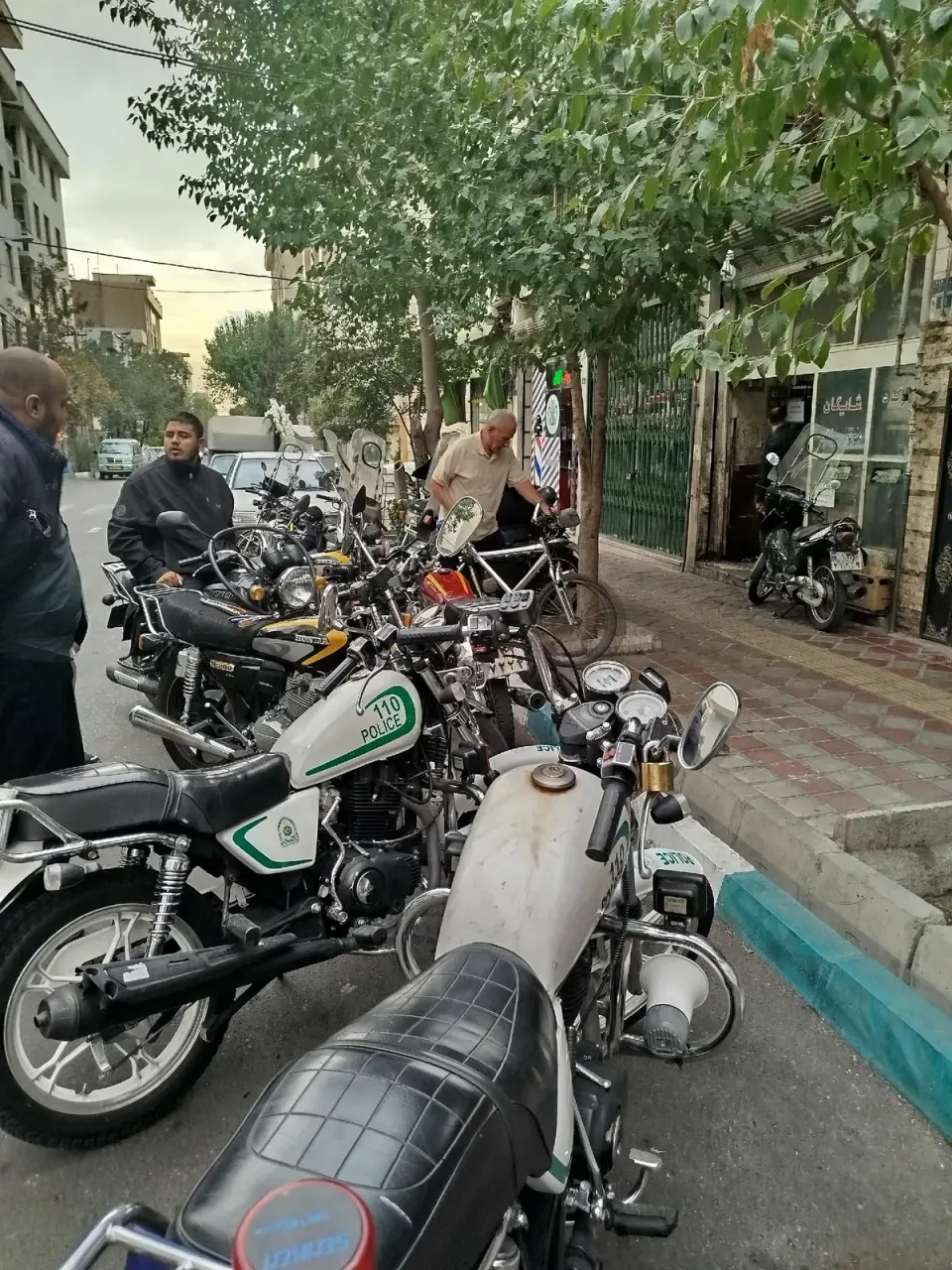 تشک رویال