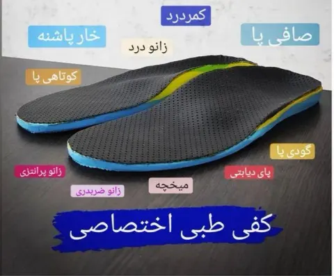 آکادمی ورزشی آریو