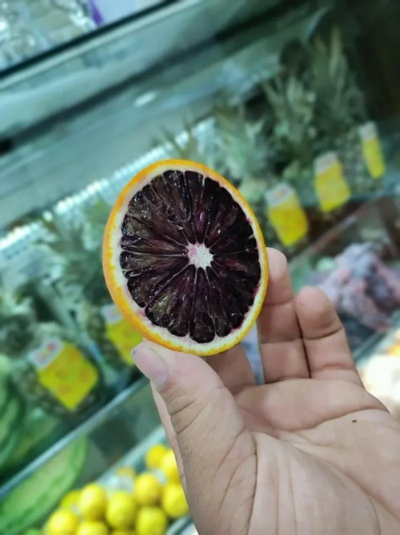 دکتر آبمیوه