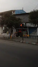طباخی بره سفید فروزش