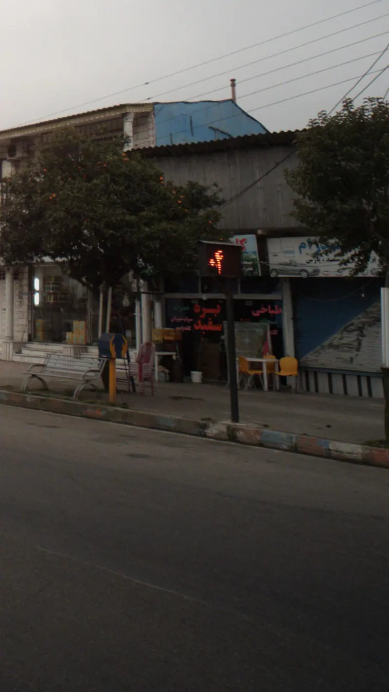 طباخی بره سفید فروزش