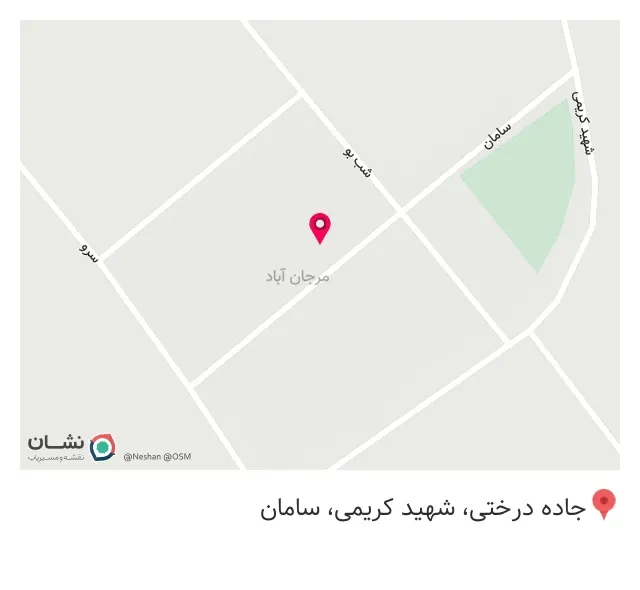 قوره محلی سبزی سرخ کرده پیاز داغ