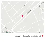 پیشگام رایانه