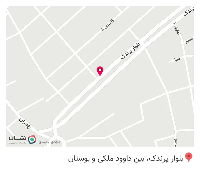 پیشگام رایانه