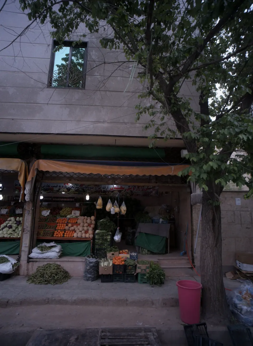 میوه فروشی حاجی ارزونی بهشتی