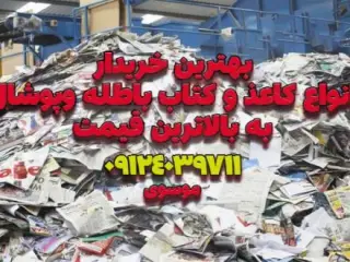 برنا سلولز