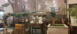 استار برگر