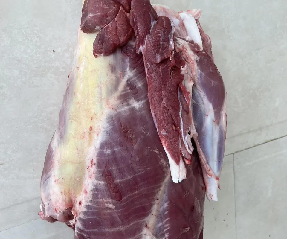 پخش گوشت شتر منصوری