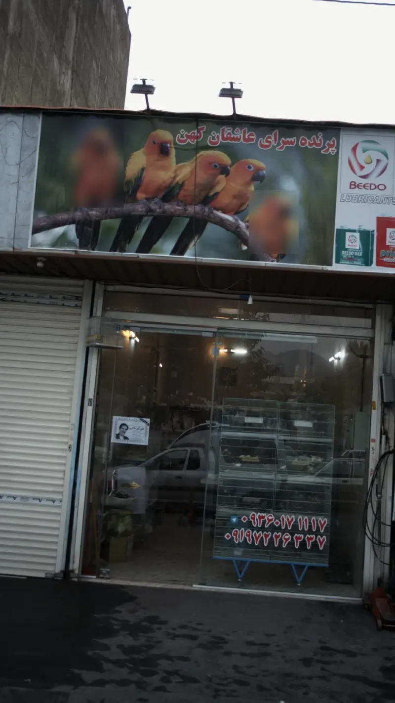 پرنده سرای عاشقان کهن