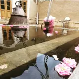 مرغ و خروس محمد