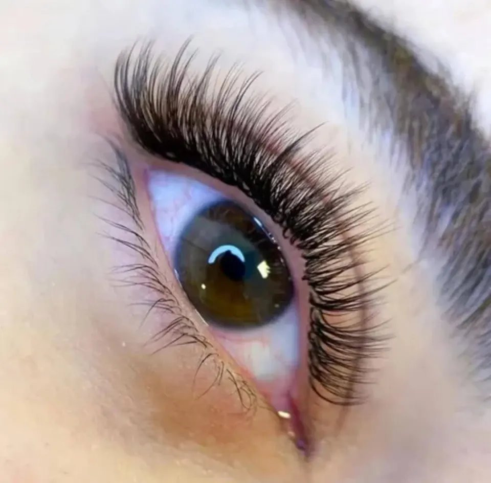 خدمات تخصصی آرایش دائم صورت و چشم افسانه