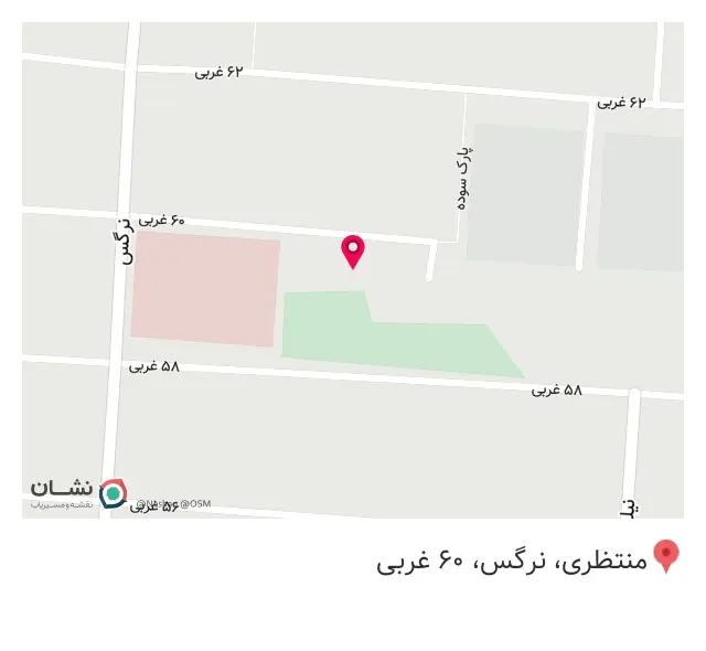 پیتزا لوک