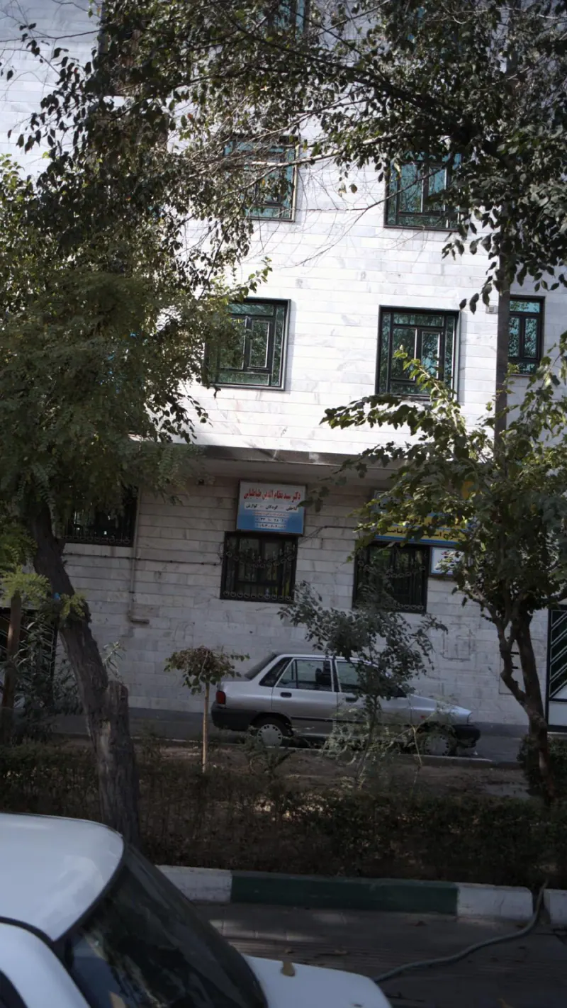 دکتر سید نظام الدین طباطبایی