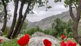 آزمایشگاه ژئوتکنیک کیفیت سازان اهواز