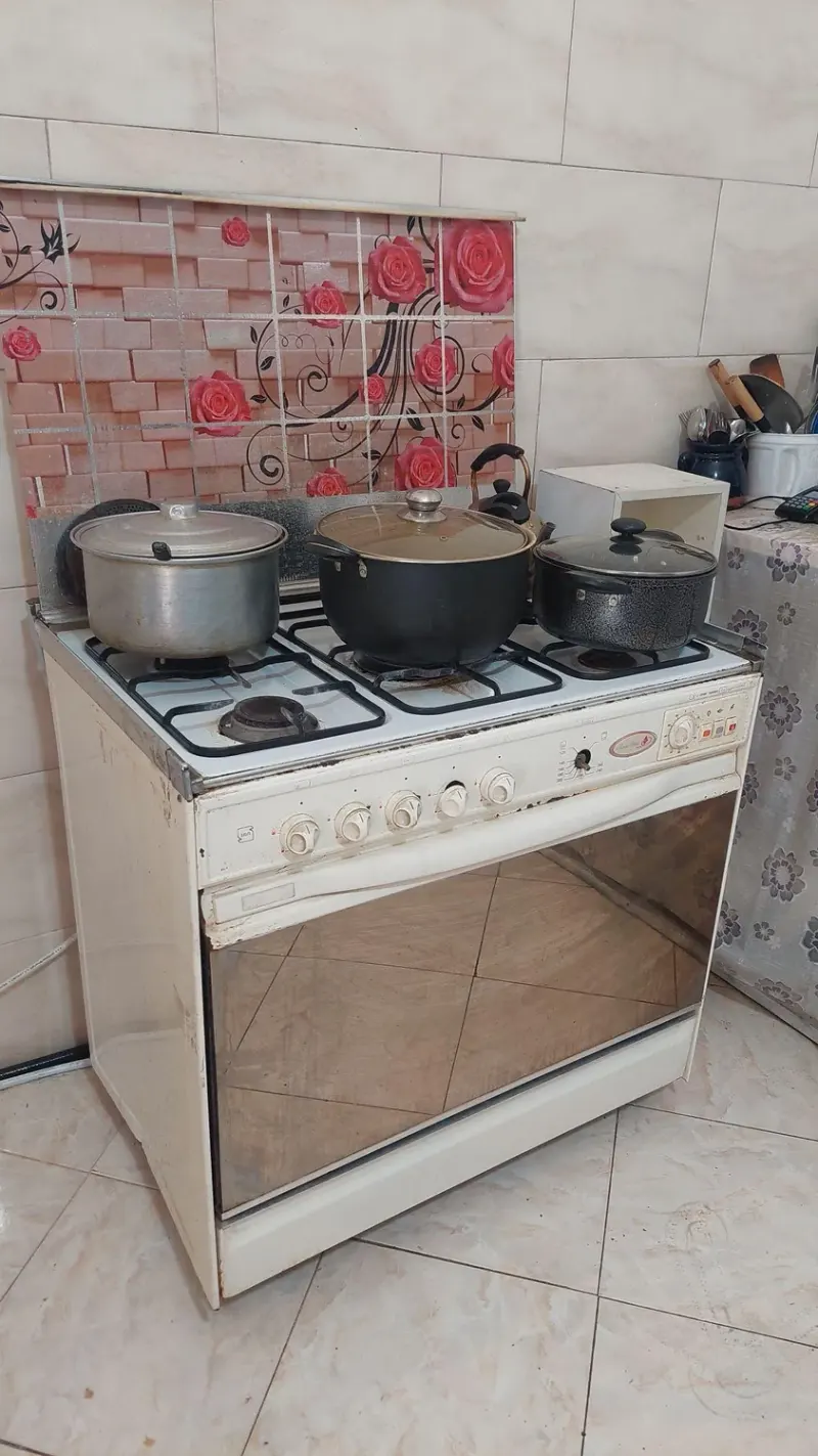 تهیه غذای خانگی بس گل