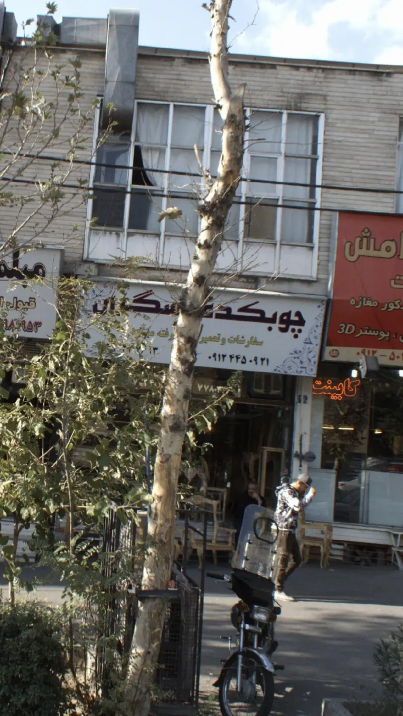 چوبکده عسگری