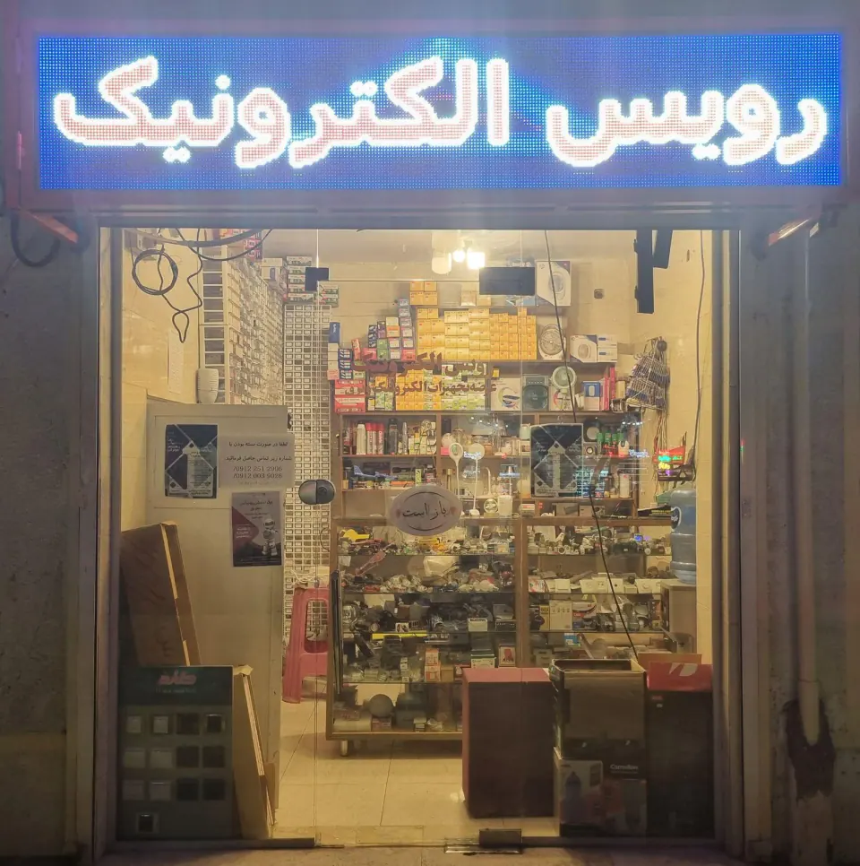 رویس الکترونیک