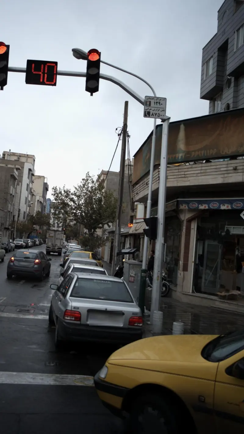 شیلات