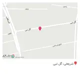 دامپزشک امین غیاثوند در تهران