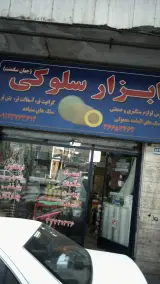 ابزار سلوکی