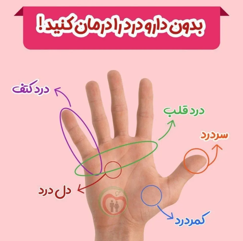 طب سنتی و گیاهان دارویی حکیم ضرابی