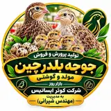 تولید و فروش جوجه بلدرچین مولد و گوشتی شرکت کوثر ایساتیس در اصفهان