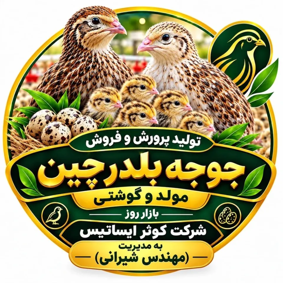 تولید و فروش جوجه بلدرچین مولد و گوشتی شرکت کوثر ایساتیس در اصفهان