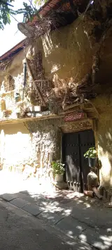 موزه رازها (استاد ساعی)