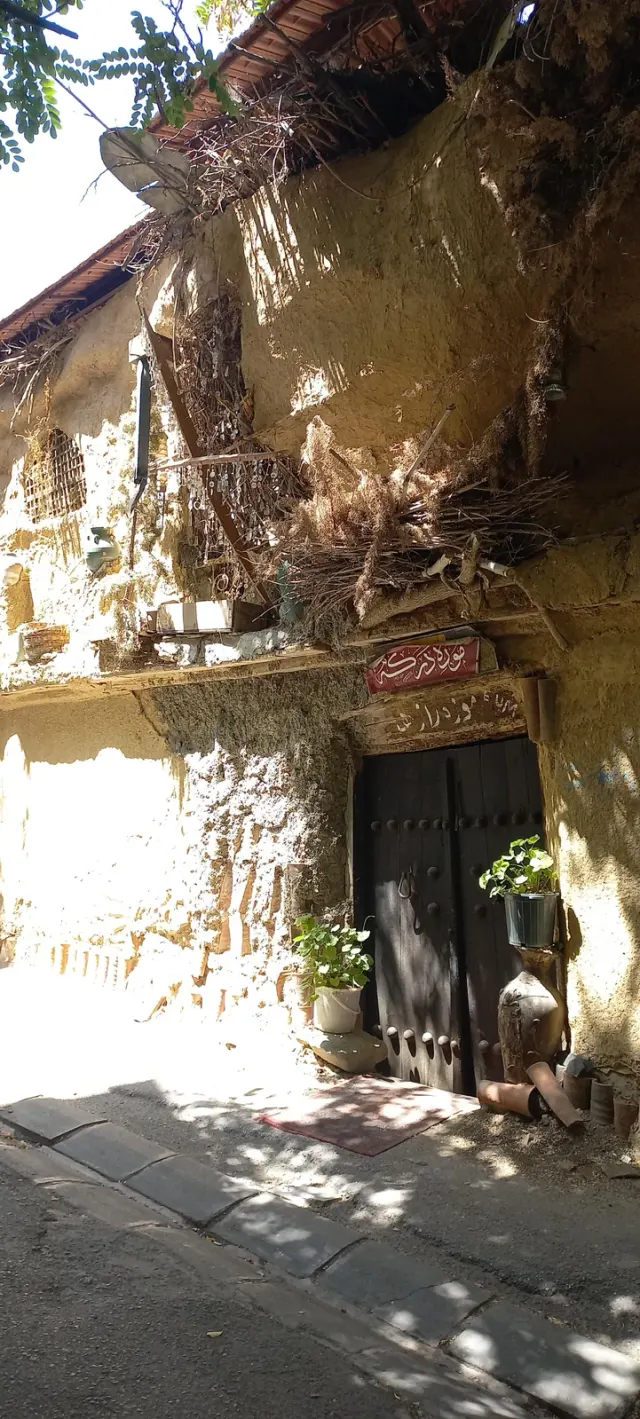 موزه رازها (استاد ساعی)