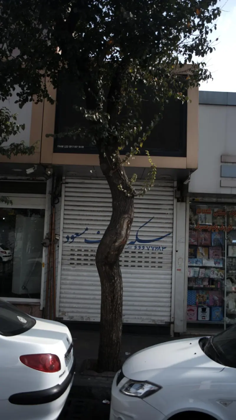 زرگری مسعود