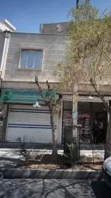 سبزی خورد کنی زمرد