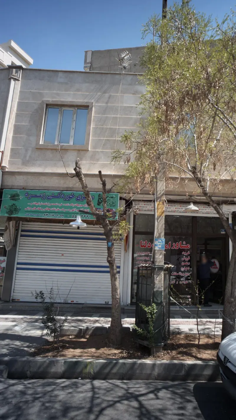 سبزی خورد کنی زمرد