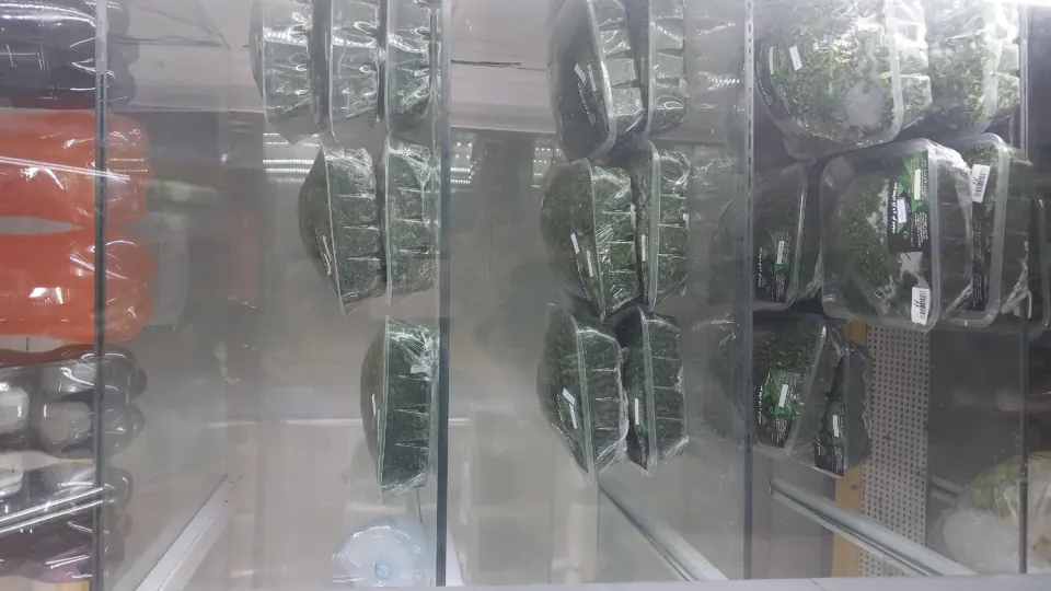 لبنیات سنتی تک