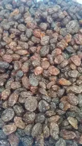 خشکبار میلاد