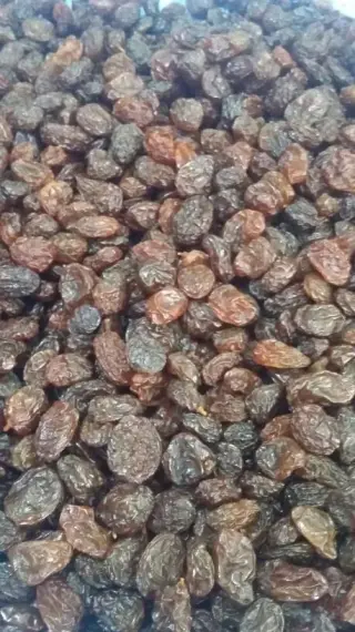 خشکبار میلاد