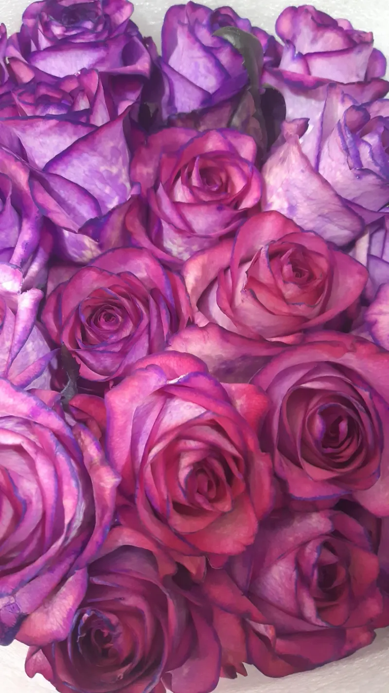 گلفروشی گلکده